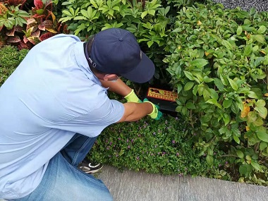 鱼珠四害消杀站外环境专用灭鼠器优势